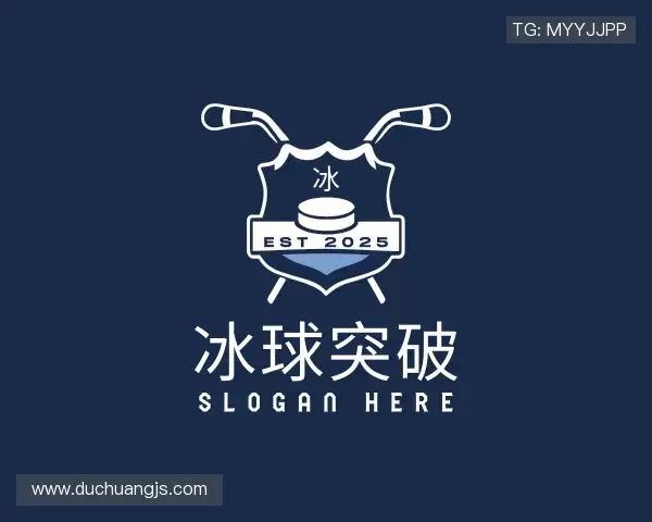 介绍冰球突破最新地址